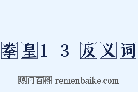 拳皇13反义词是什么意思的图片